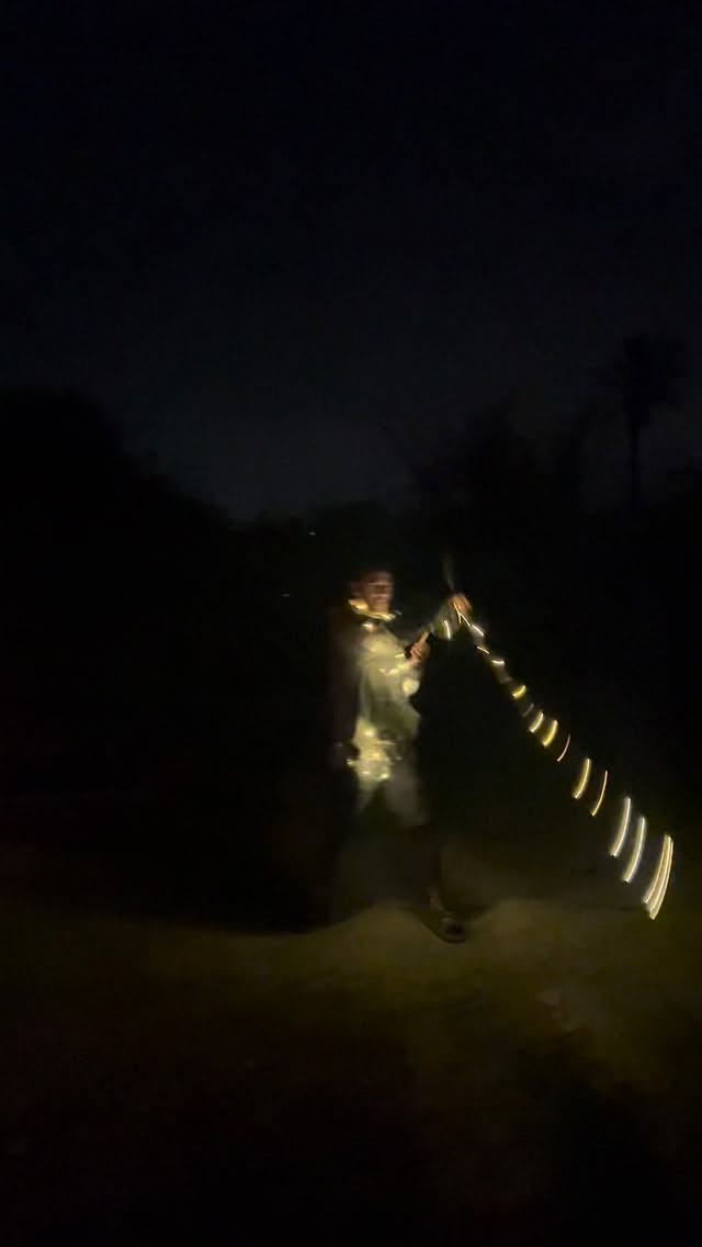 Wind and light in the palm grove reel